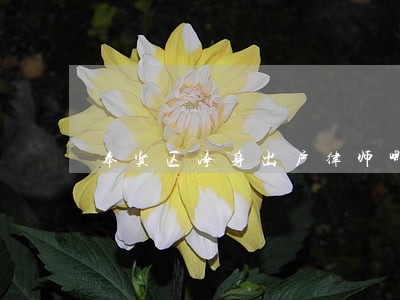 奉贤区净身出户律师哪家好 奉贤区净身出户律师哪家好