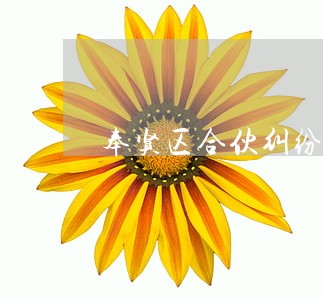 奉贤区合伙纠纷法律咨询 奉贤区合伙纠纷法律咨询