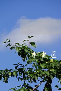 奉贤区婚姻家庭律师费用是多少 奉贤区婚姻家庭律师费用是多少