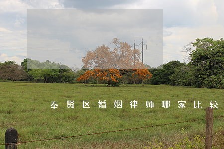 奉贤区婚姻律师哪家比较好 奉贤区婚姻律师哪家比较好