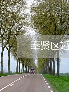 奉贤区婚姻房产纠纷律师找哪个 奉贤区婚姻房产纠纷律师找哪个