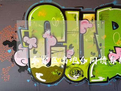 奉贤区当地合同债务纠纷律师 奉贤区当地合同债务纠纷律师