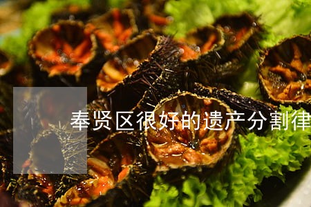 奉贤区很好的遗产分割律师 奉贤区很好的遗产分割律师