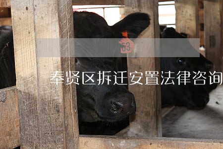奉贤区拆迁安置法律咨询 奉贤区拆迁安置法律咨询