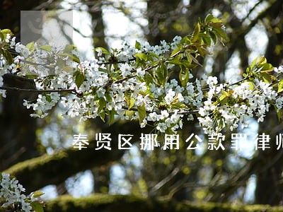 奉贤区挪用公款罪律师去哪找 奉贤区挪用公款罪律师去哪找