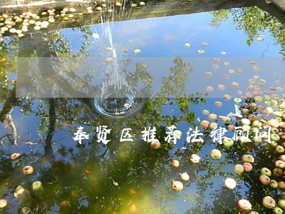 奉贤区推荐法律顾问 奉贤区推荐法律顾问