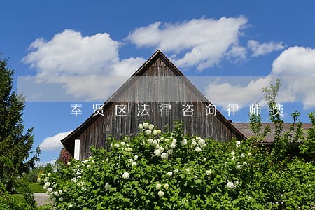 奉贤区法律咨询律师费 奉贤区法律咨询律师费