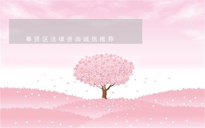 奉贤区法律咨询诚信推荐 奉贤区法律咨询诚信推荐
