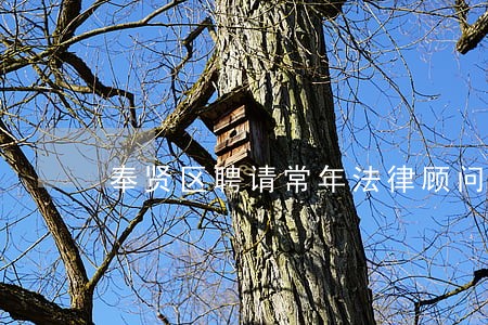 奉贤区聘请常年法律顾问 奉贤区聘请常年法律顾问
