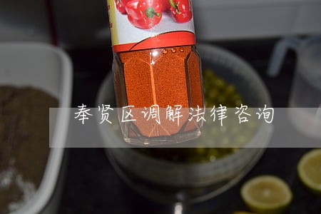 奉贤区调解法律咨询 奉贤区调解法律咨询