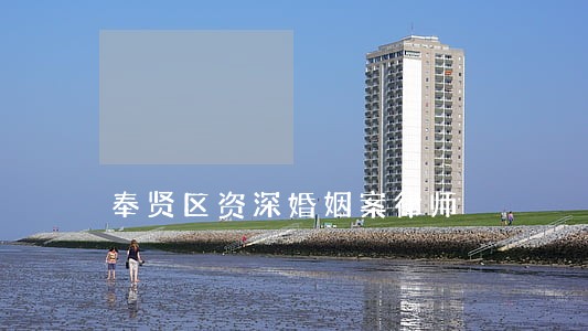 奉贤区资深婚姻案律师 奉贤区资深婚姻案律师