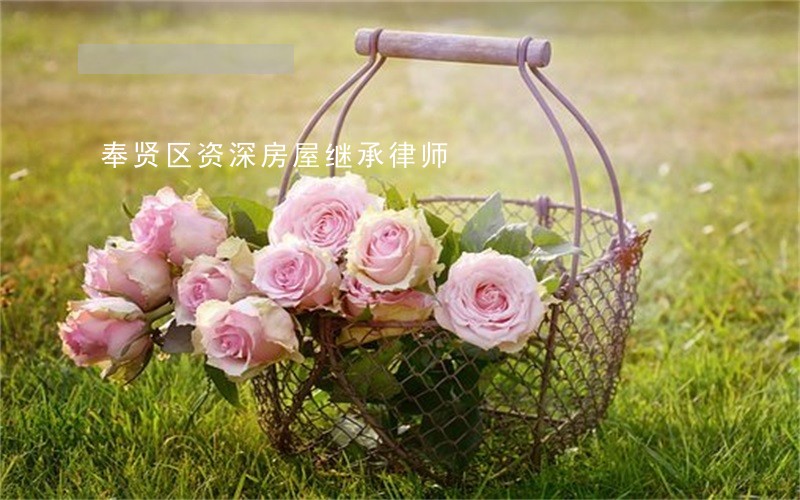 奉贤区资深房屋继承律师 奉贤区资深房屋继承律师