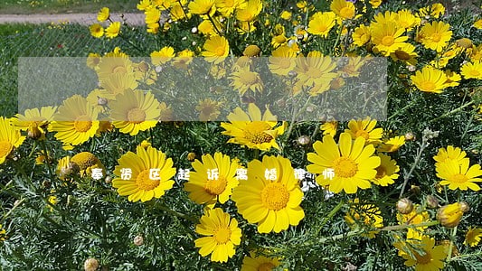 奉贤区起诉离婚律师 奉贤区起诉离婚律师