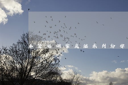 奉贤婚姻家庭继承纠纷律师电话 奉贤婚姻家庭继承纠纷律师电话