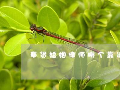 奉贤婚姻律师哪个靠谱 奉贤婚姻律师哪个靠谱
