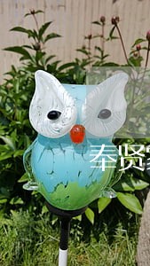 奉贤家庭婚姻纠纷律师 奉贤家庭婚姻纠纷律师