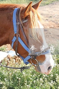 奉贤房屋质量纠纷律师事务所