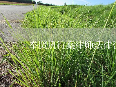 奉贤执行案律师法律咨询 奉贤执行案律师法律咨询