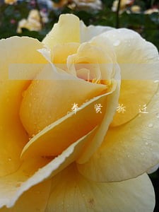 奉贤拆迁律师咨询 奉贤拆迁律师咨询