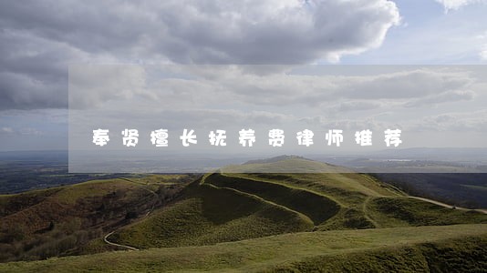 奉贤擅长抚养费律师推荐 奉贤擅长抚养费律师推荐