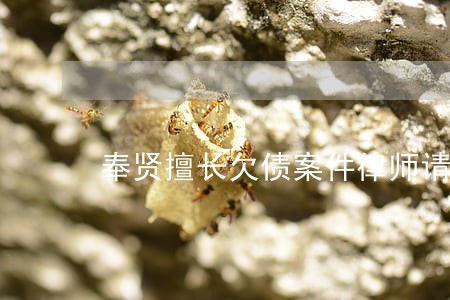 奉贤擅长欠债案件律师请查看 奉贤擅长欠债案件律师请查看