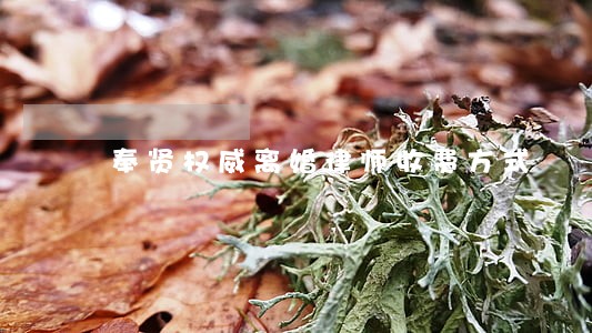 奉贤权威离婚律师收费方式 奉贤权威离婚律师收费方式