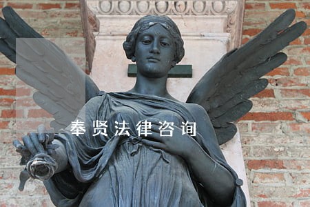 奉贤法律咨询 奉贤法律咨询