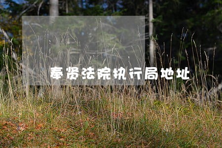 奉贤法院执行局地址 奉贤法院执行局地址