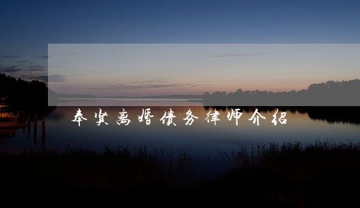 奉贤离婚债务律师介绍 奉贤离婚债务律师介绍