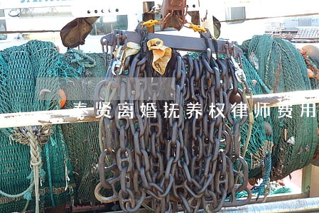 奉贤离婚抚养权律师费用多少