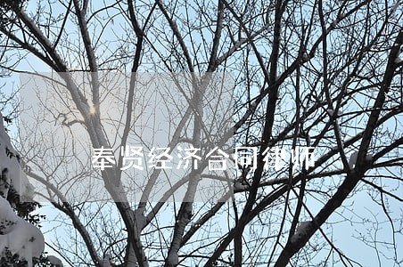 奉贤经济合同律师 奉贤经济合同律师