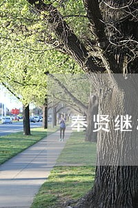 奉贤继承房产律师联系方式