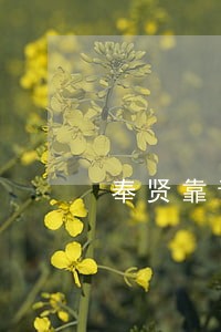 奉贤靠谱双倍工资律师 奉贤靠谱双倍工资律师