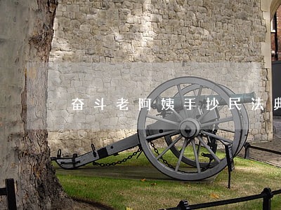 奋斗老阿姨手抄民法典打卡第2天 奋斗老阿姨手抄民法典打卡第2天