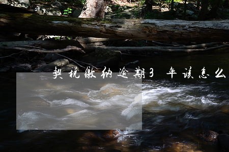 契税缴纳逾期3年该怎么办 契税缴纳逾期3年该怎么办