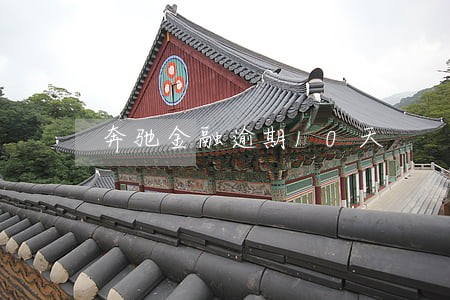 奔驰金融逾期10天 奔驰金融逾期10天