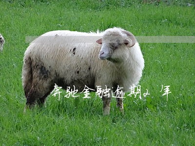 奔驰金融逾期2年 奔驰金融逾期2年