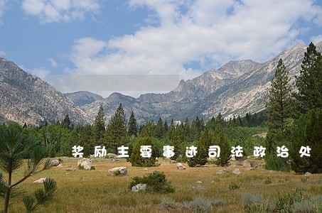 奖励主要事迹司法政治处主任 奖励主要事迹司法政治处主任