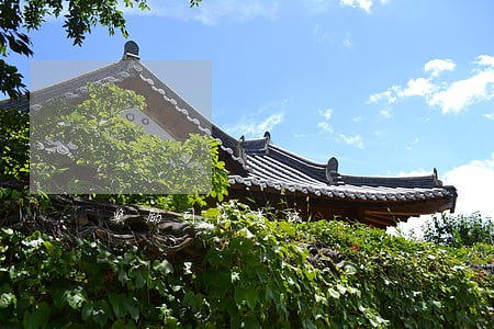 奖励司法考试 奖励司法考试