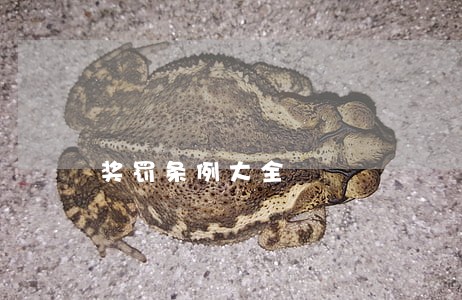 奖罚条例大全 奖罚条例大全