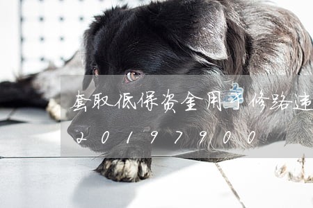 套取低保资金用于修路违法吗/2023020197900