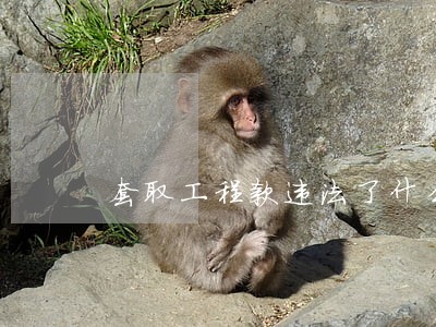 套取工程款违法了什么财经纪律 套取工程款违法了什么财经纪律