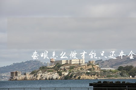 套呗怎么做才能只还本金 套呗怎么做才能只还本金