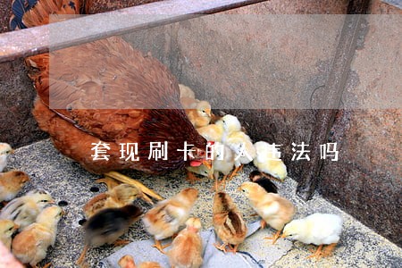套现刷卡的人违法吗