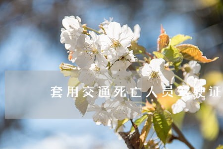 套用交通死亡人员驾驶证 套用交通死亡人员驾驶证