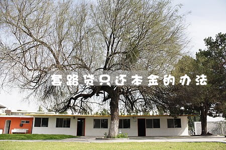 套路贷只还本金的办法 套路贷只还本金的办法