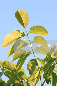 套路贷导致信用卡逾期 套路贷导致信用卡逾期
