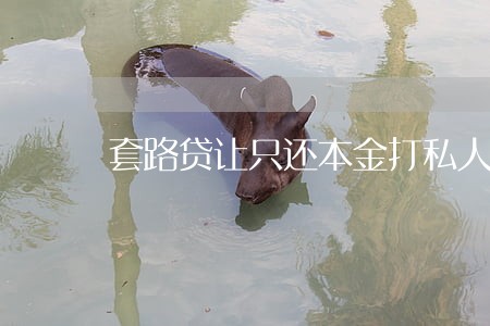 套路贷让只还本金打私人账户 套路贷让只还本金打私人账户