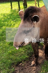 套路贷逾期会影响银行贷款吗 套路贷逾期会影响银行贷款吗