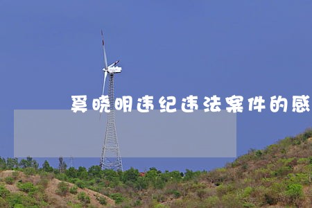 奚晓明违纪违法案件的感想 奚晓明违纪违法案件的感想